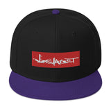 Visualist Snapback Hat